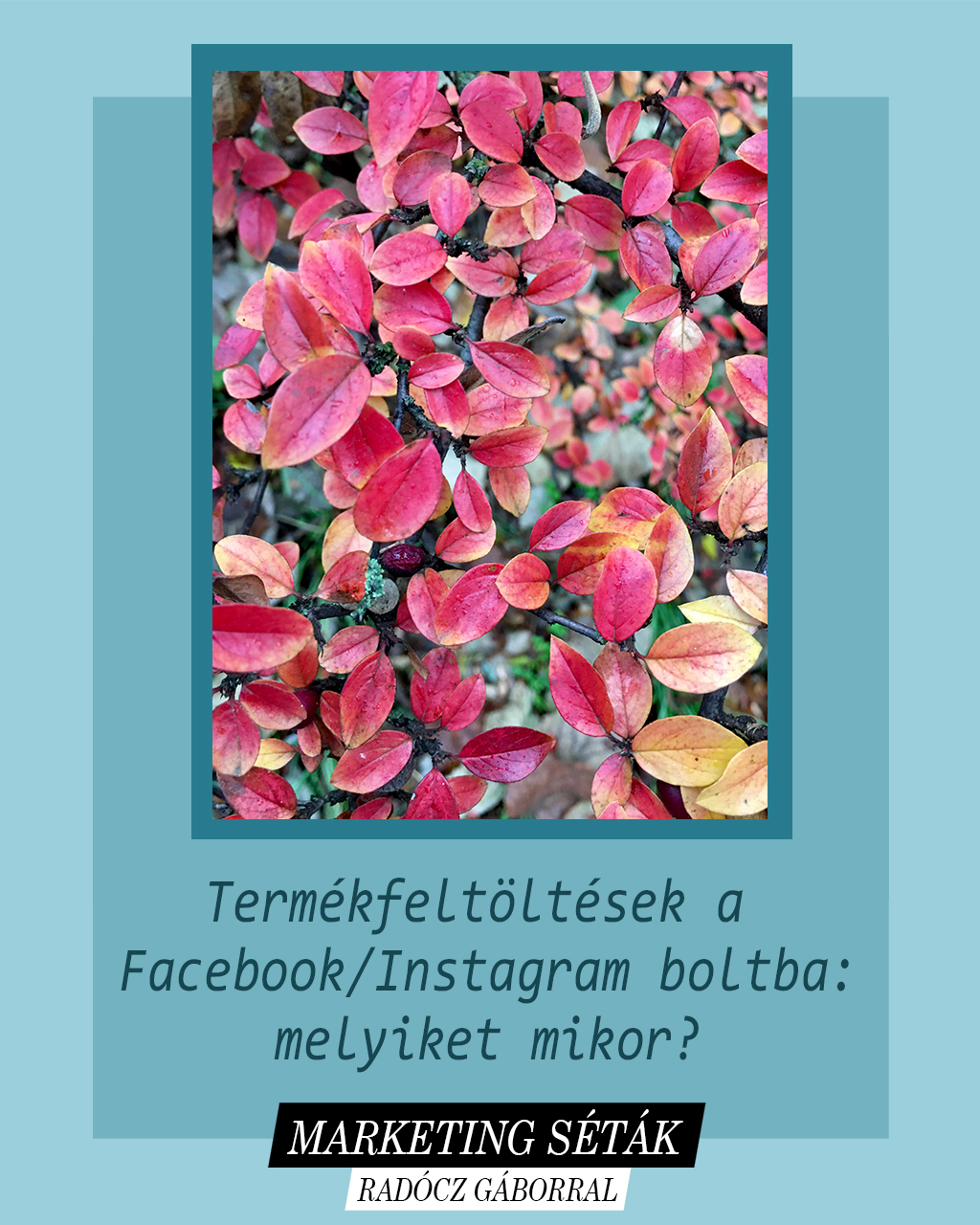 Termékfeltöltés Facebook boltba