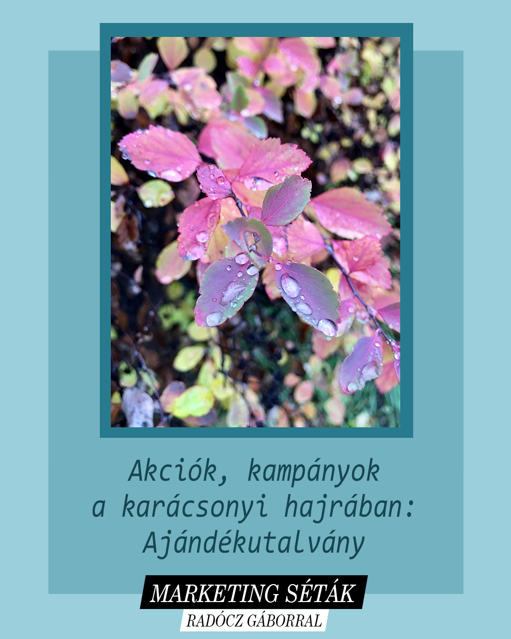 Ajándékutalvány